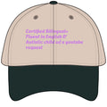 Garment Washed Baseball Cap