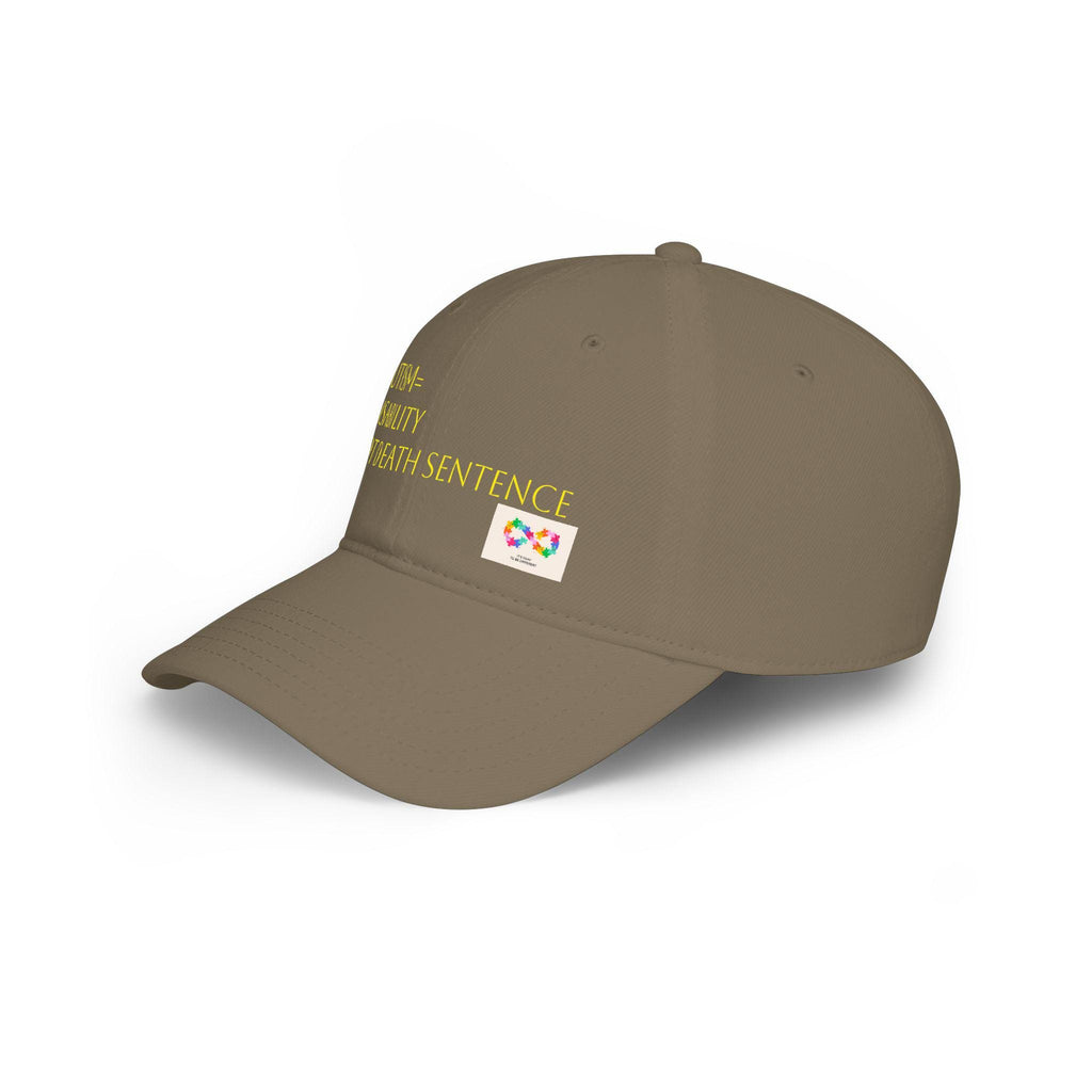Low Profile Baseball Cap